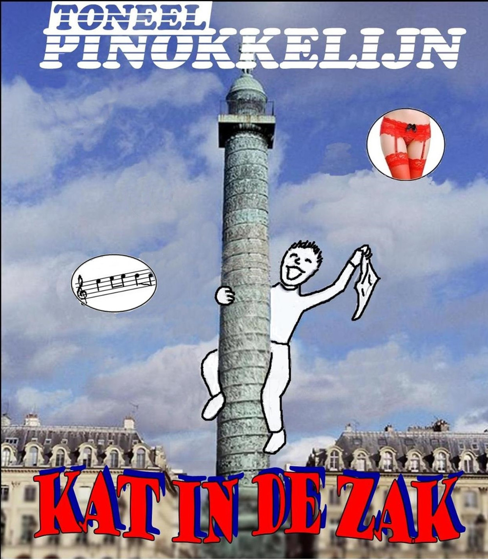 Kat in de zak poster